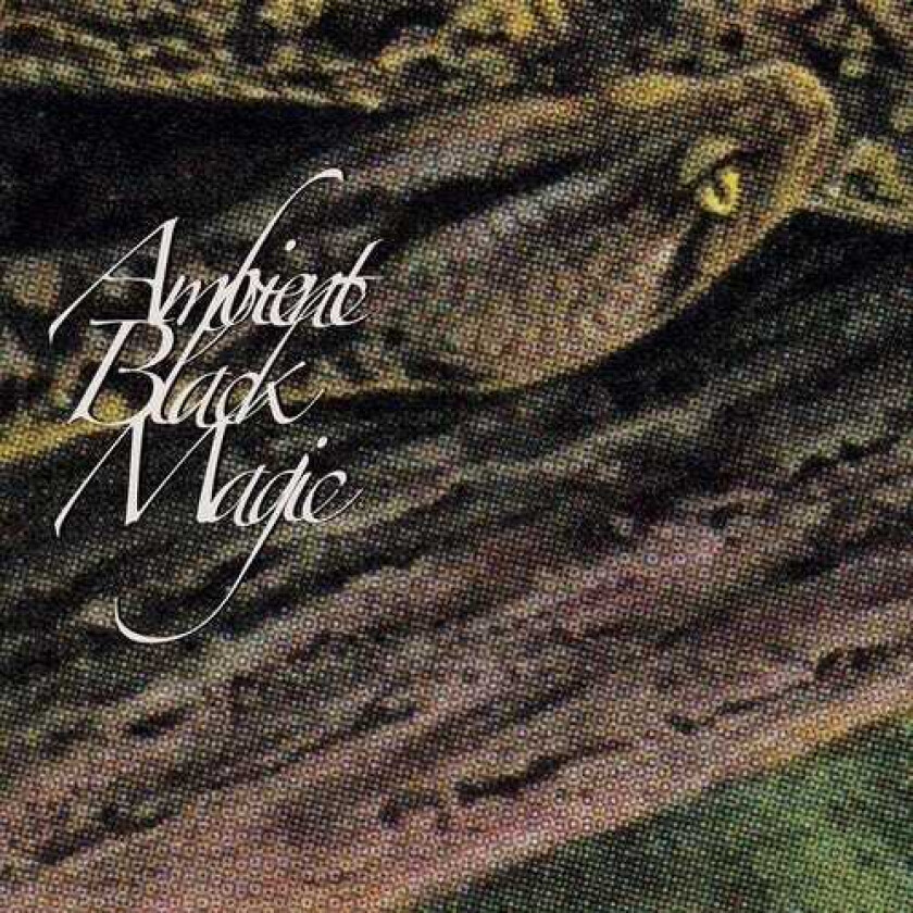 Rainforest Spiritual Enslavement Ambient Black Magic LP/Vinyl