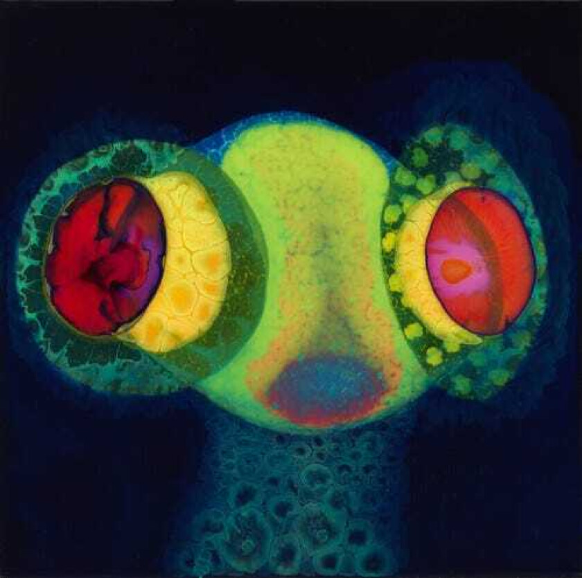 Osees Sorcs 80 LP/Vinyl