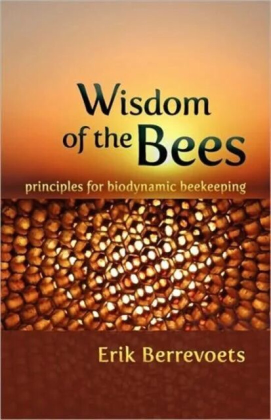 The Wisdom of Bees av Erik Berrevoets