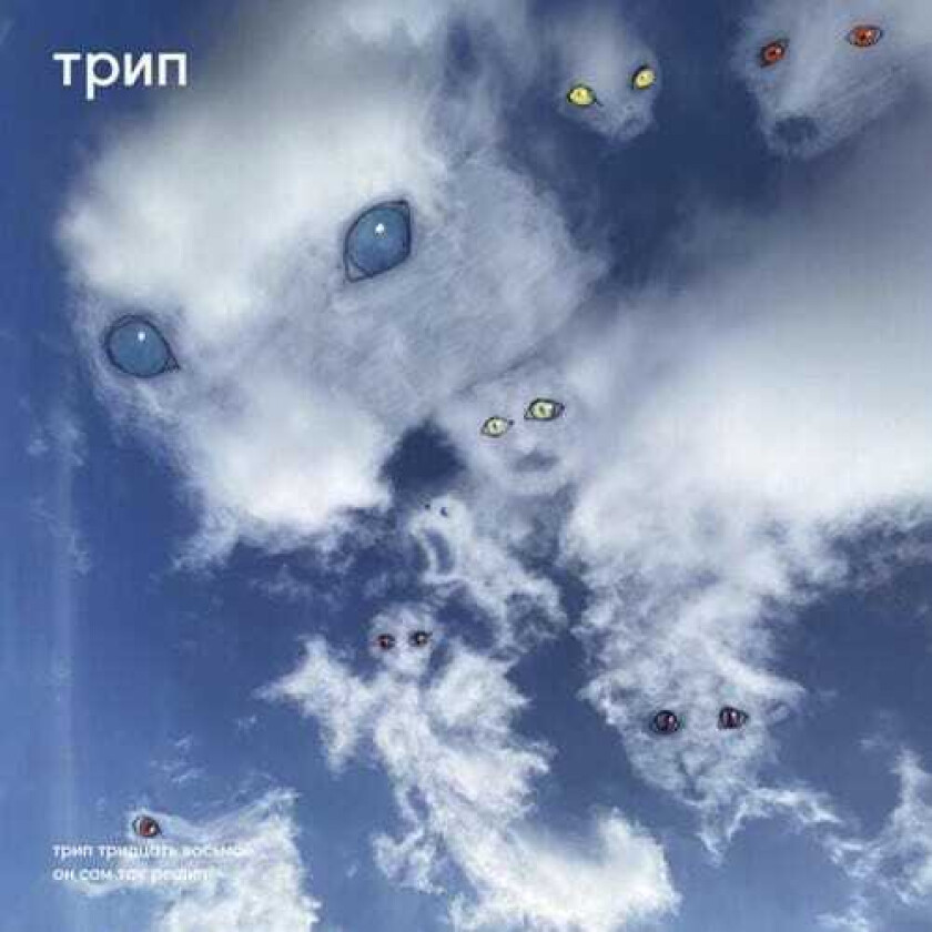 Diverse Artister All His Decisions LP/Vinyl