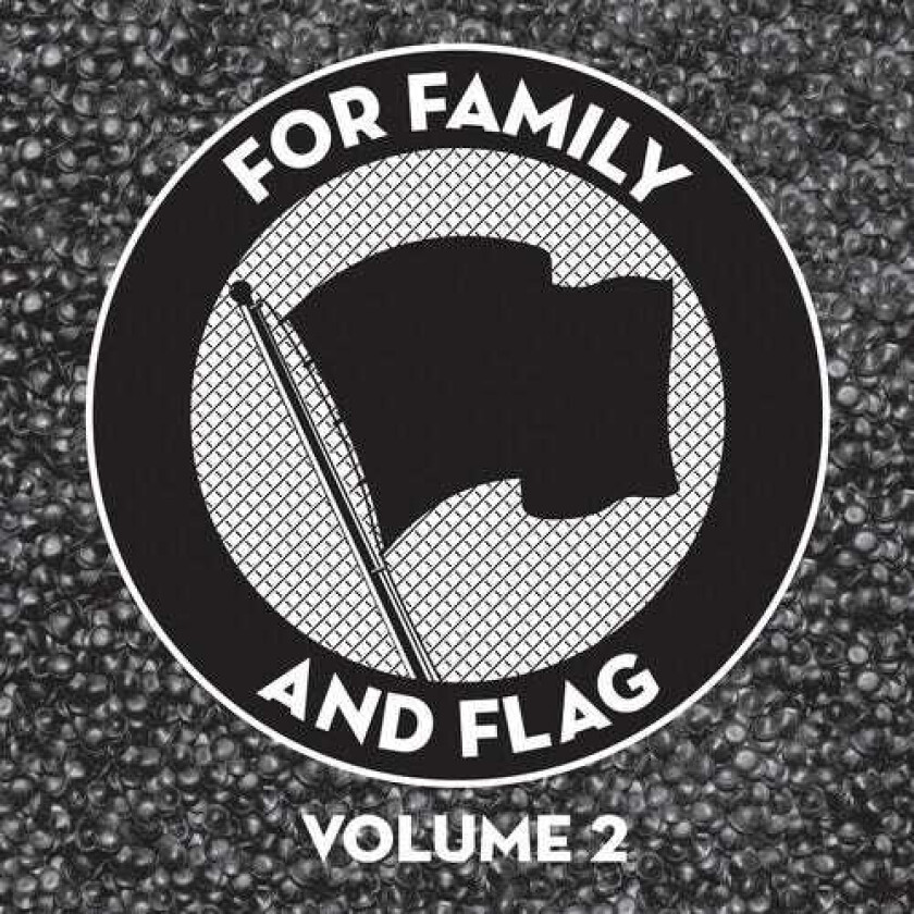 Diverse Artister For Family And Flag 2 LP/Vinyl