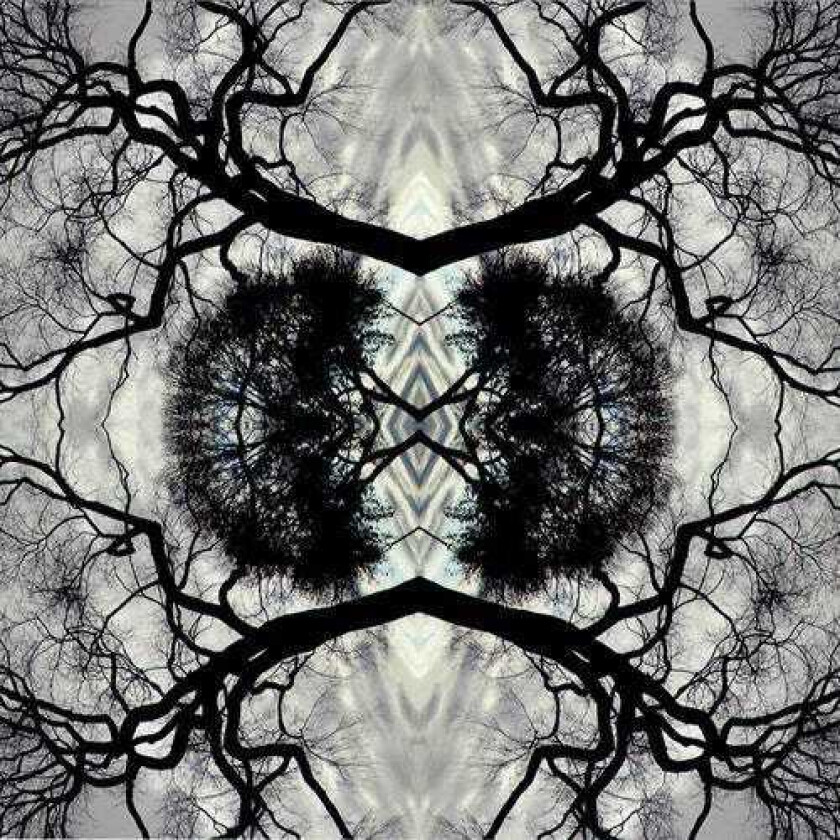 Adam Rudolph Sonic Mandala Go: Organic Orchestra LP/Vinyl