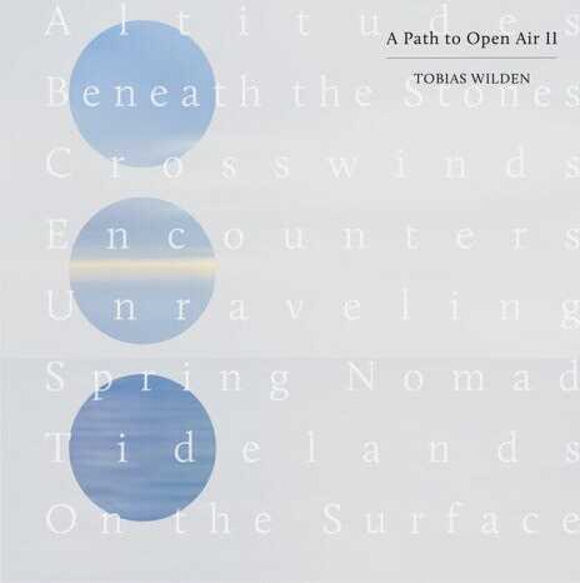 Tobias Wilden Path To Open Air Ii LP/Vinyl