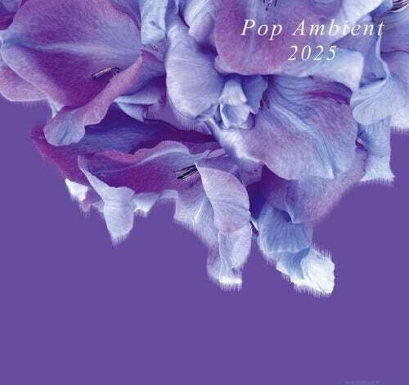 Diverse Artister Pop Ambient 2025 LP/Vinyl