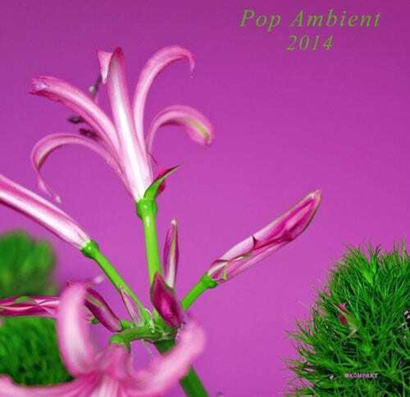 Diverse Artister Pop Ambient 2014 LP/Vinyl