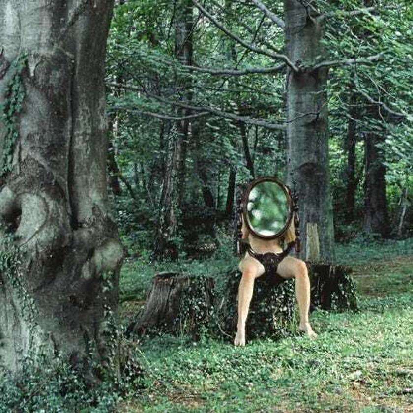 Kammerflimmer Kollektief Schemen LP/Vinyl