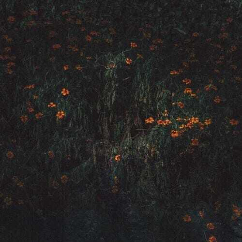 Compro Oro Estarantos LP/Vinyl