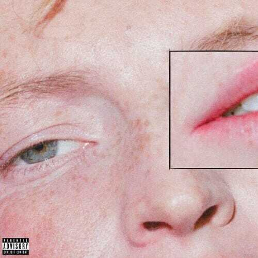 Greeting Committee Dandelion LP/Vinyl