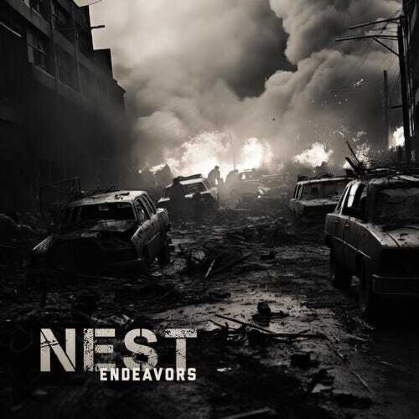 The Nest Endeavors LP/Vinyl
