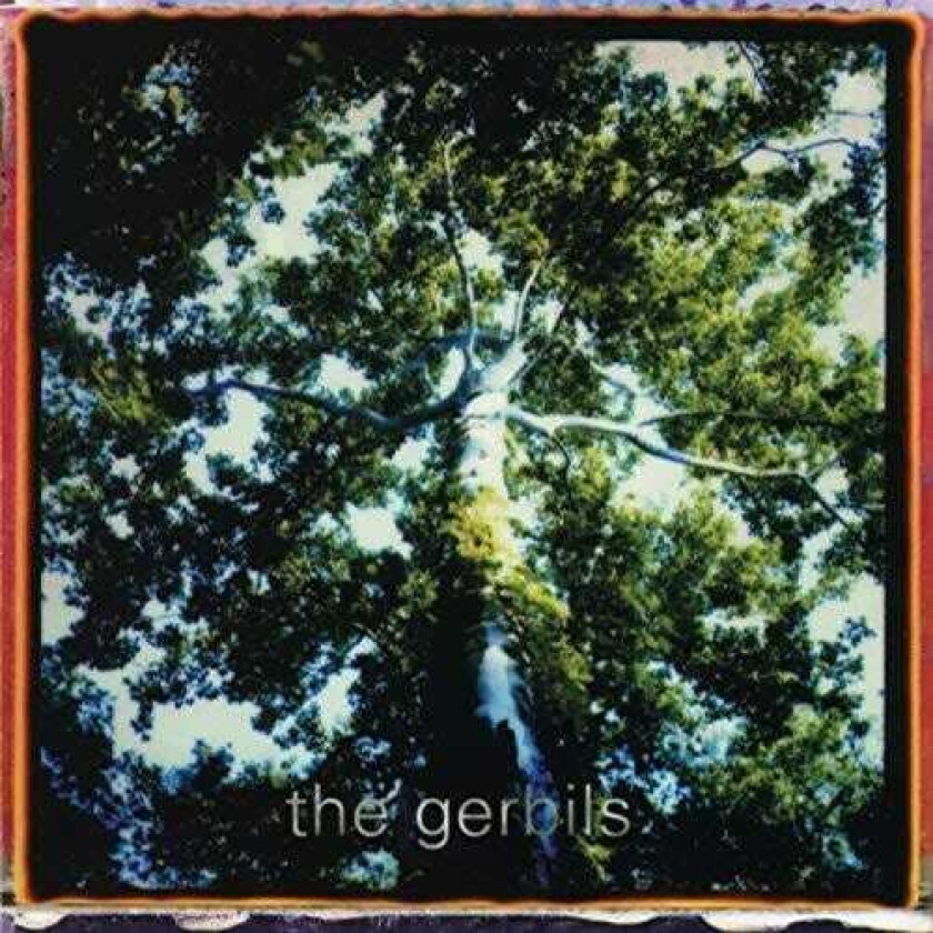 The Gerbils Are You Sleepy LP/Vinyl