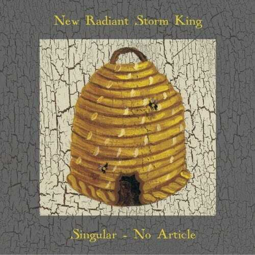 New Radiant Storm King Singular No Article LP/Vinyl