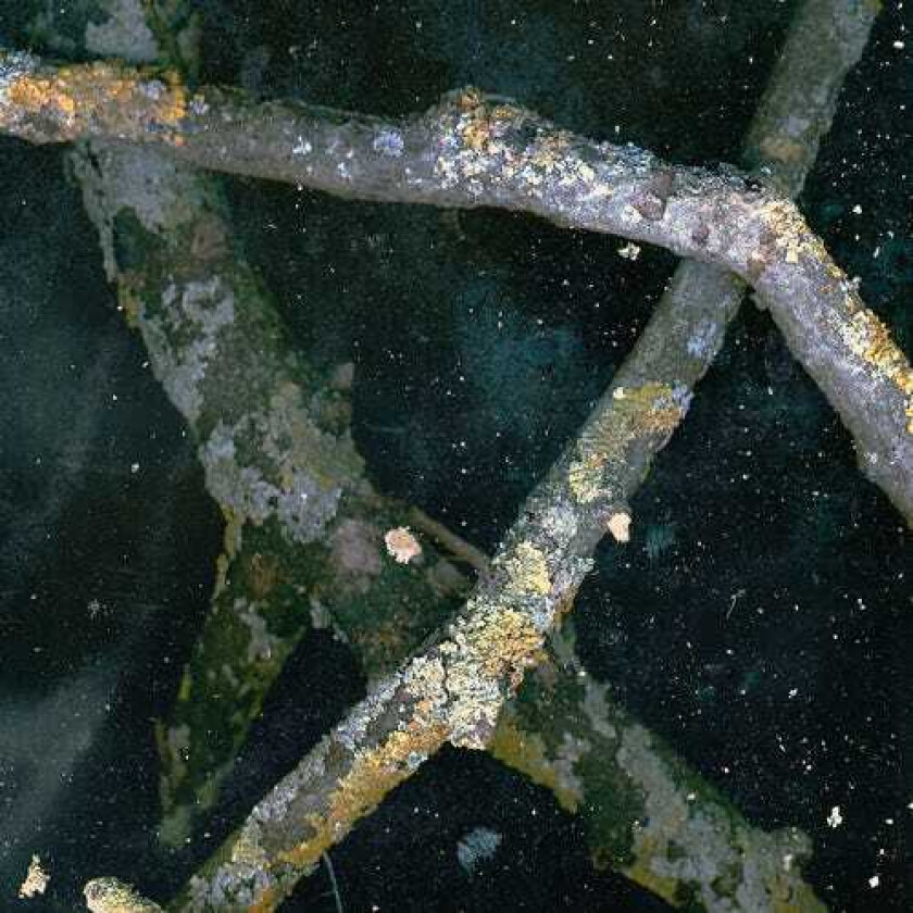 Saaadon Mpetb LP/Vinyl