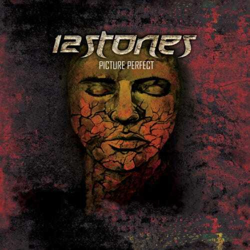 12 Stones Picture Perfect LP/Vinyl