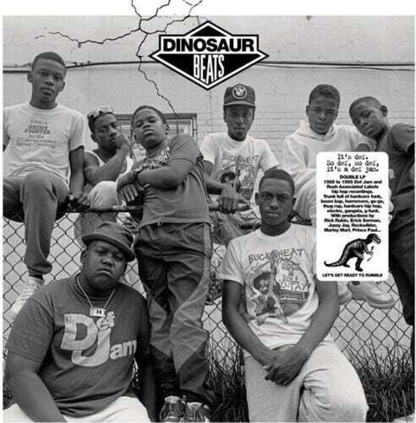 Diverse Artister Dinosaur Beats LP/Vinyl