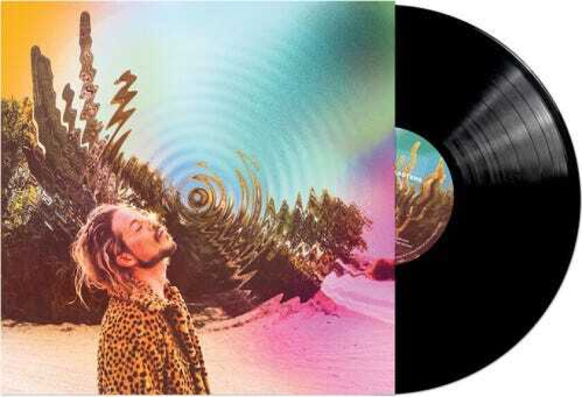 The Rocket Summer Shadowkasters LP/Vinyl