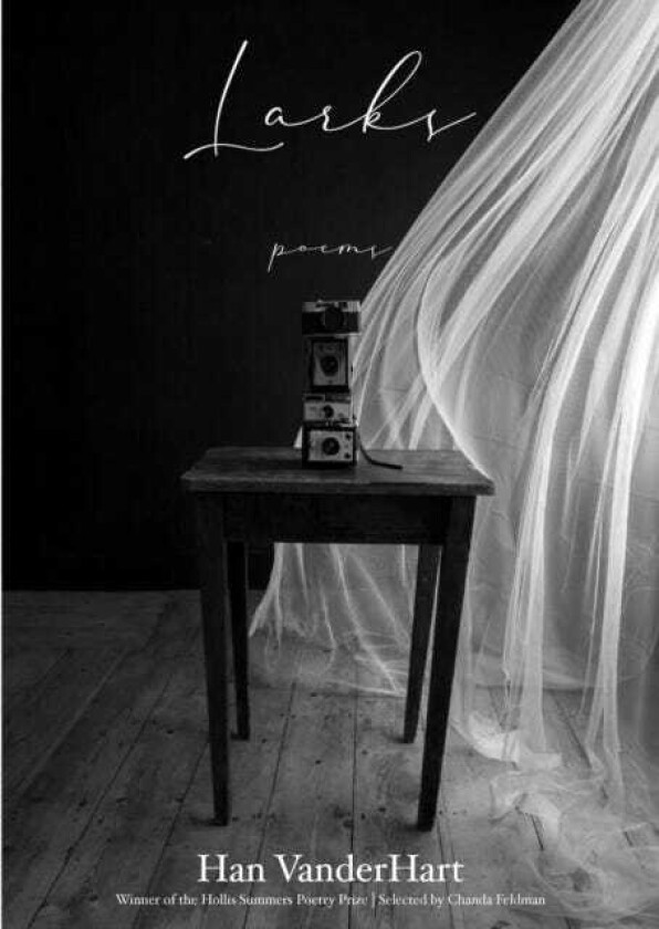 Larks Poems