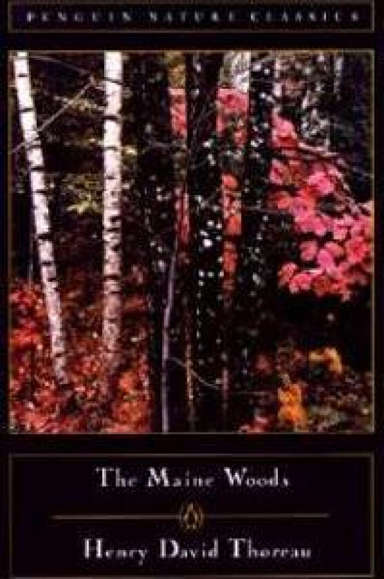 THE MAINE WOODS