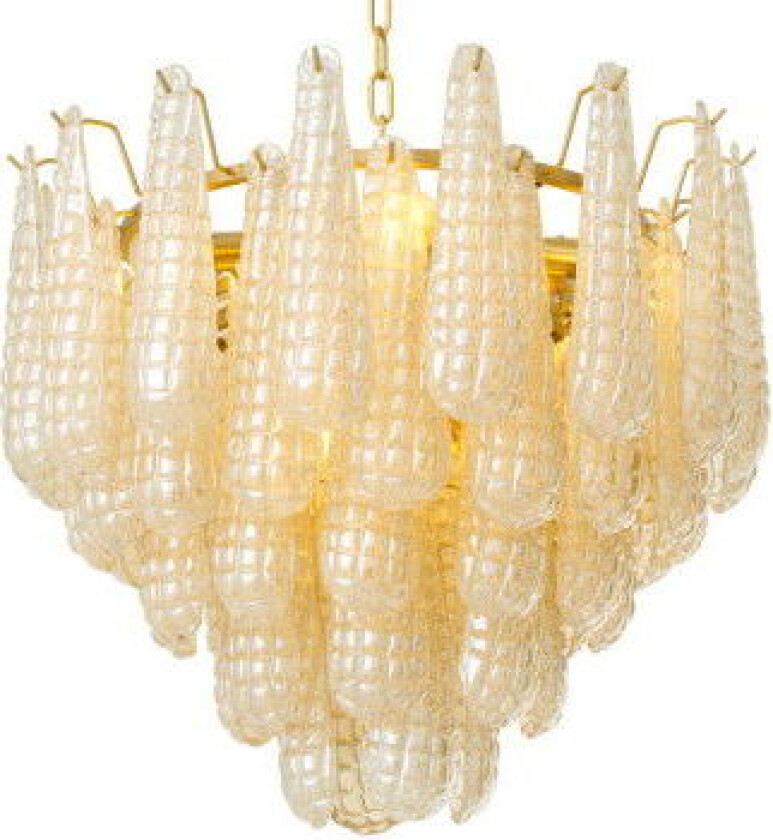 Chaves takkrona champagne S