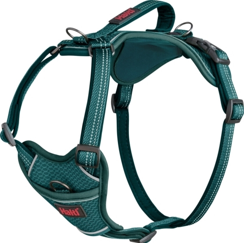 Anatomy Sele Teal Small