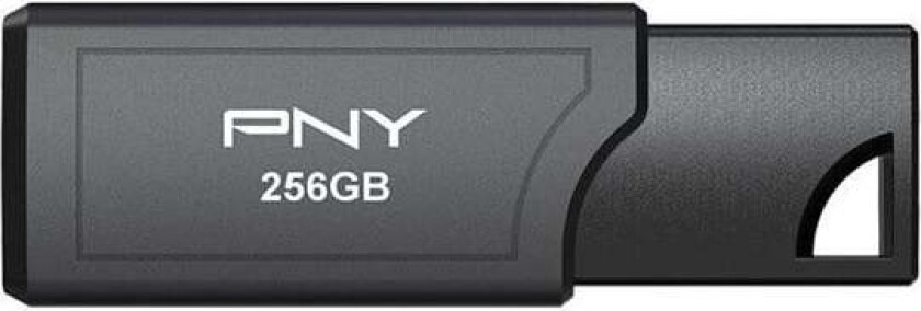 PRO Elite V3 - 256GB - Minnepenn