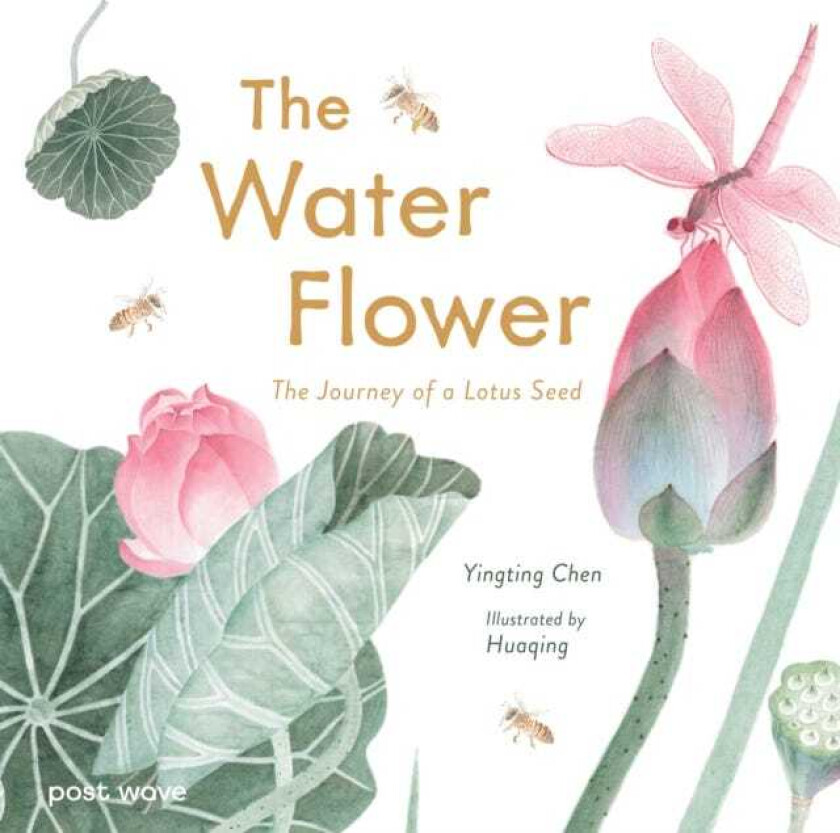 The Water Flower The Journey of a Lotus Seed