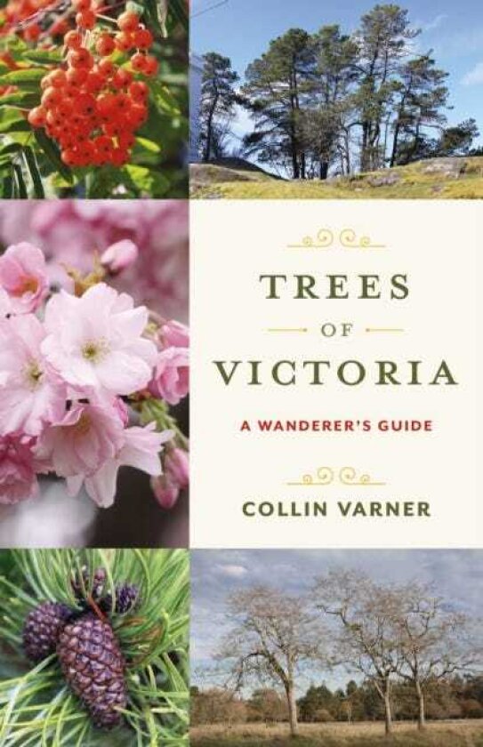 Trees of Victoria A Wanderer's Guide