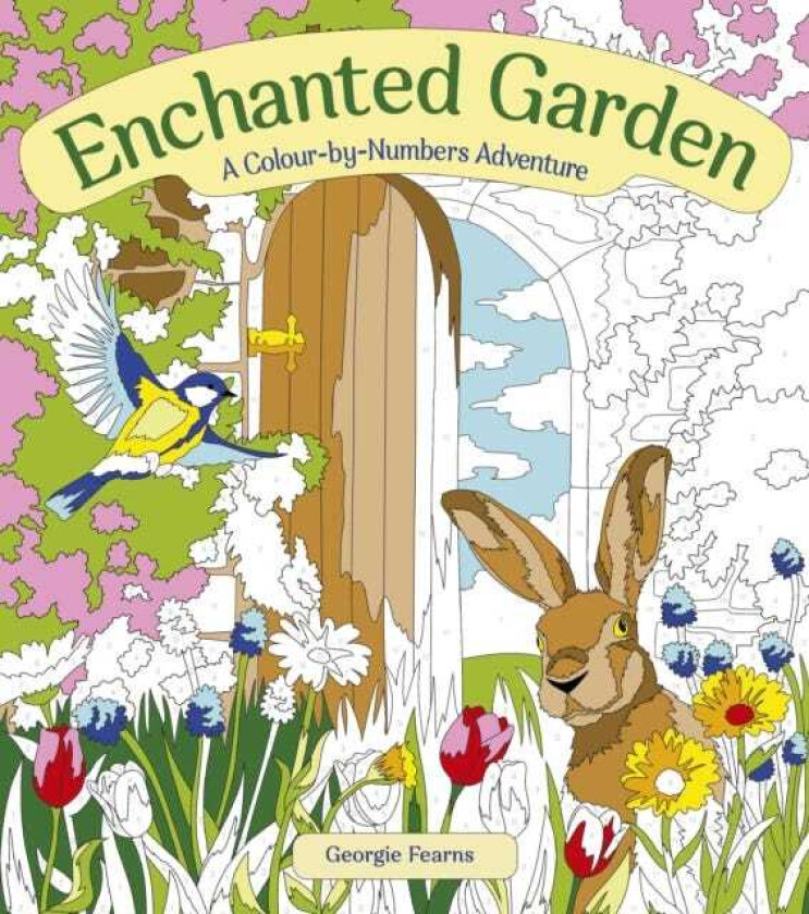 Enchanted Garden: A ColourbyNumbers Adventure