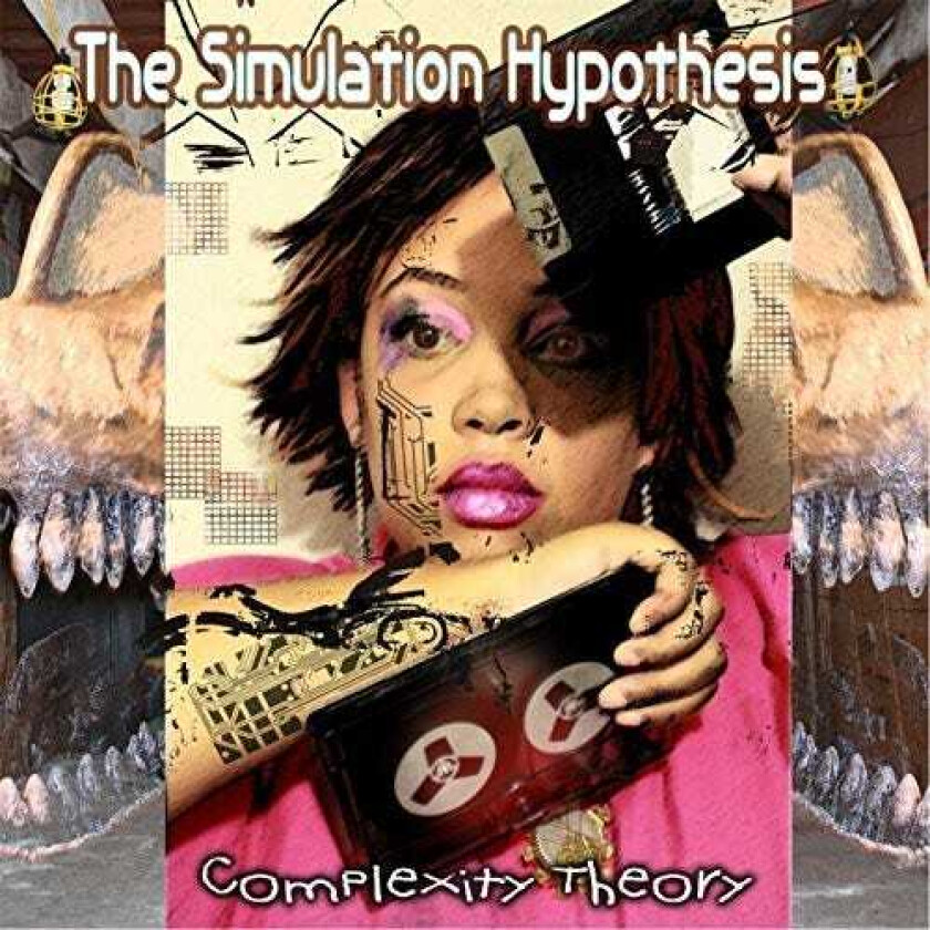 Simulation Hypothesis Complexity Theory CD