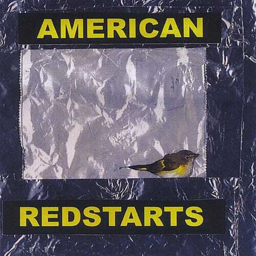 Paul Sigismondi American Redstarts CD