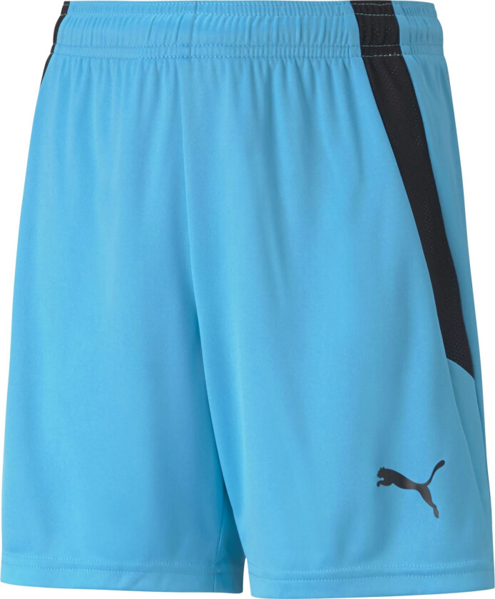 teamLIGA Shorts, fotballshorts junior Blue Atoll-puma Blac