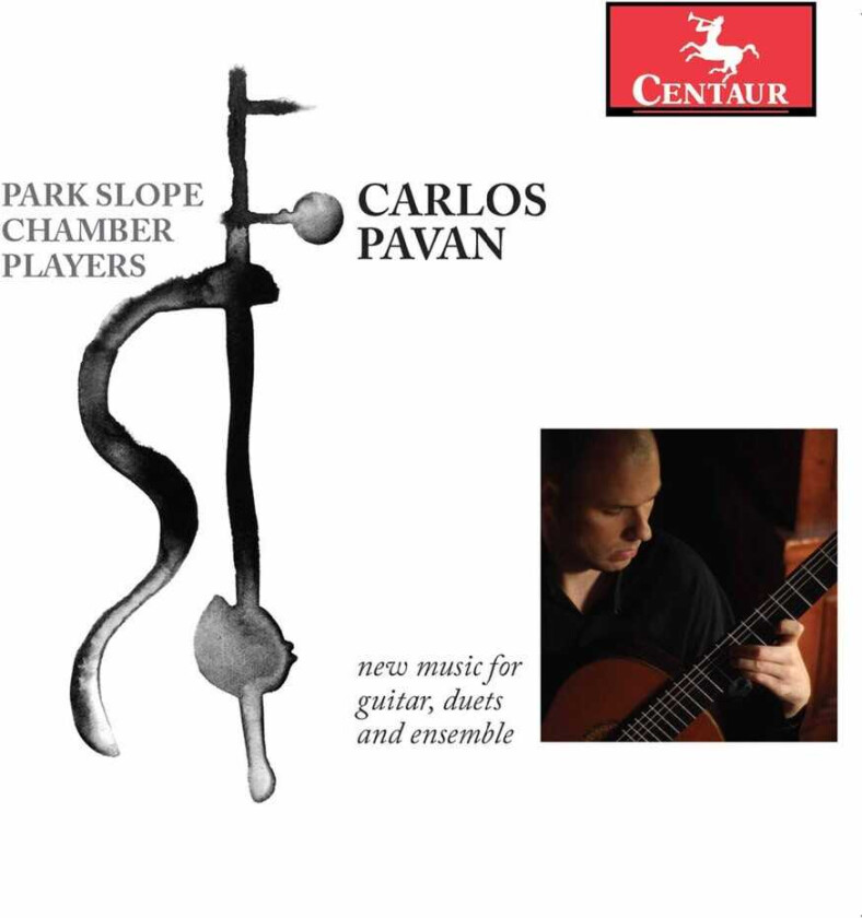 Park Slope Chamber Players New Music CD