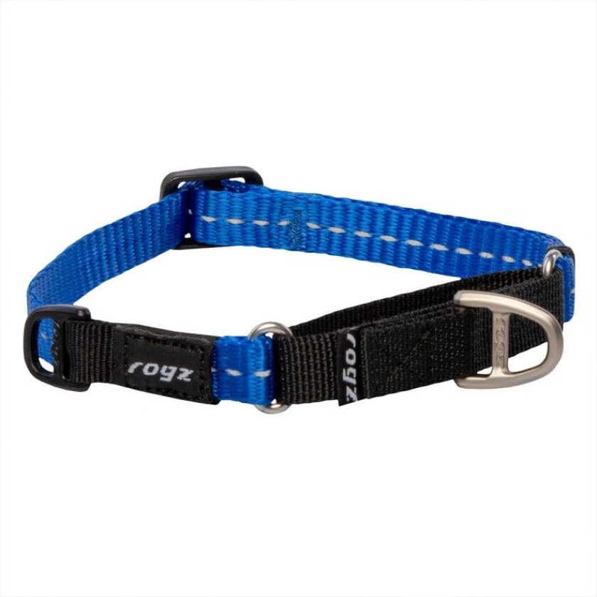 Control Halsbånd til hund Blå XXL