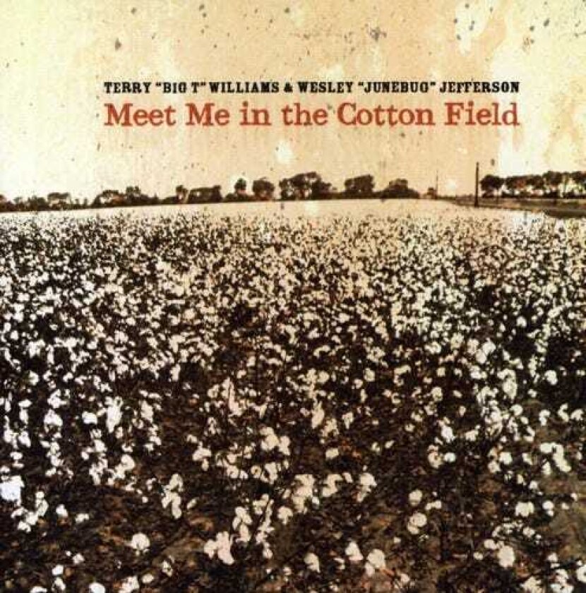 Terry Williams Meet Me In The Cotton Field CD