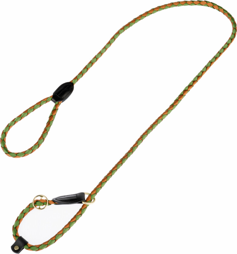 retrieverbånd Twist - 170 cm lang, Ø 12 mm - grønn/blå