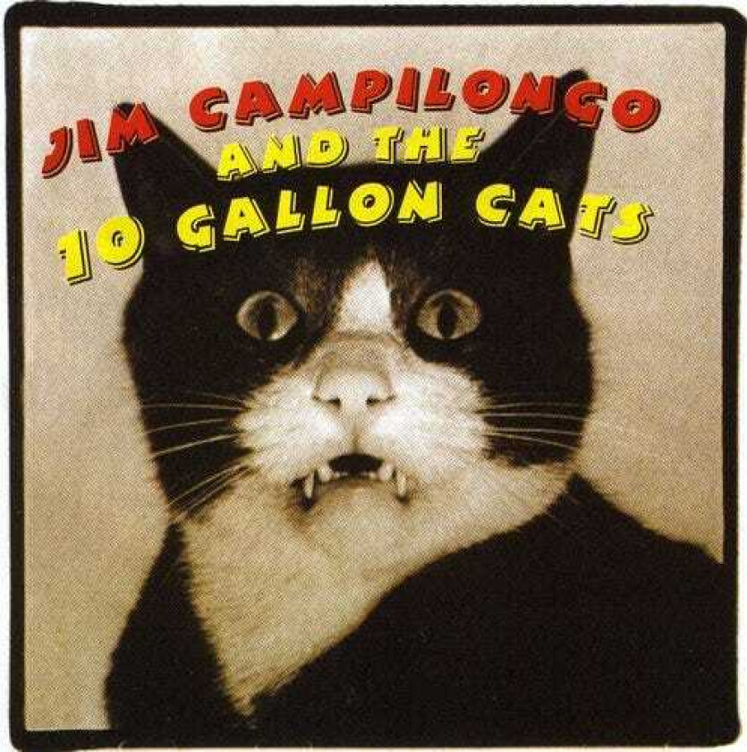 Jim Campilongo Jim Campilongo & The 10 Gallon Cats CD