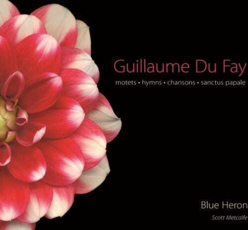 Blue Heron Motets Hymns Chansons Sanctus Papale CD