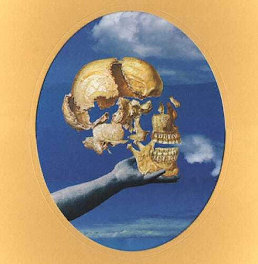 Sun Angle Skullflower LP/Vinyl