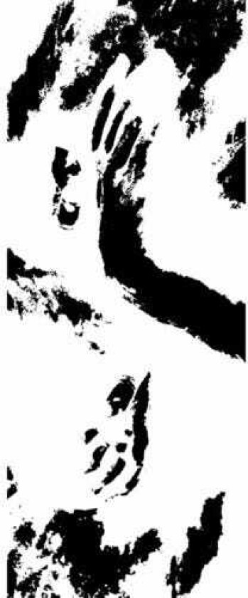 Lung Knots Golden Dirges Molten Larynges LP/Vinyl