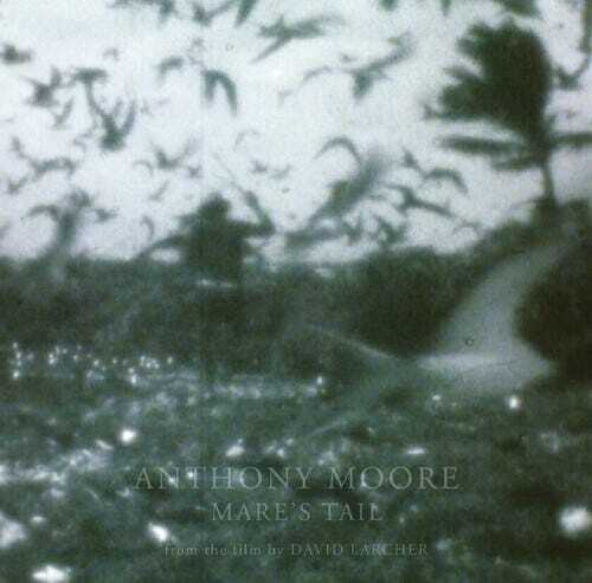 Anthony Moore Mare's Tail LP/Vinyl