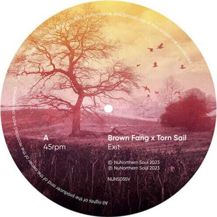 Diverse Artister Network Remixes: Vol. 1 Sampler LP/Vinyl