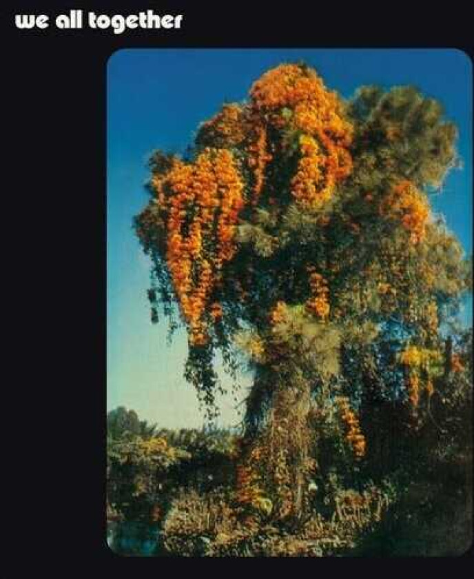 We All Together We All Together LP/Vinyl