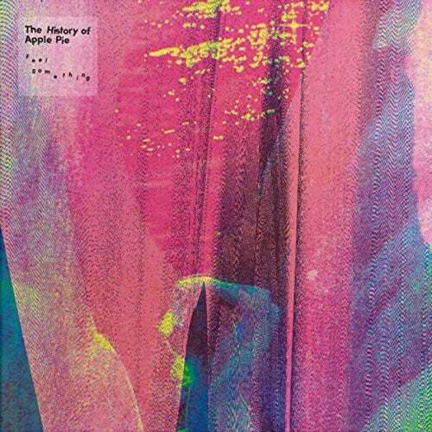 The History Of Apple Pie Feel Something LP/Vinyl