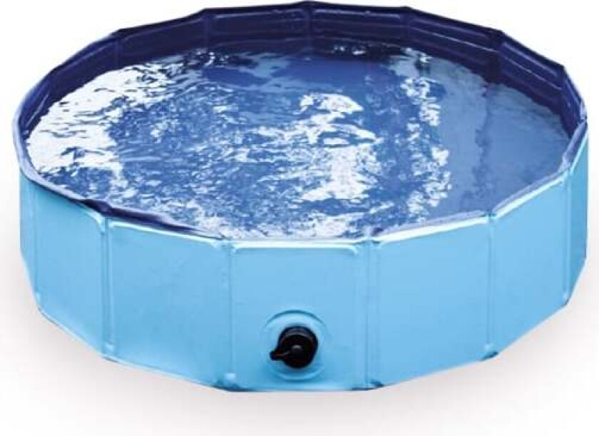 Active Canis Hundebasseng