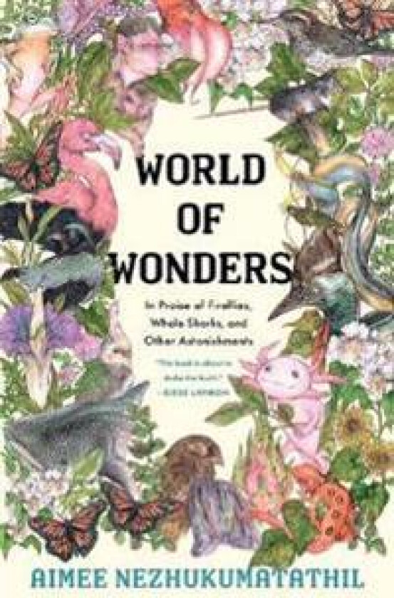 World of Wonders