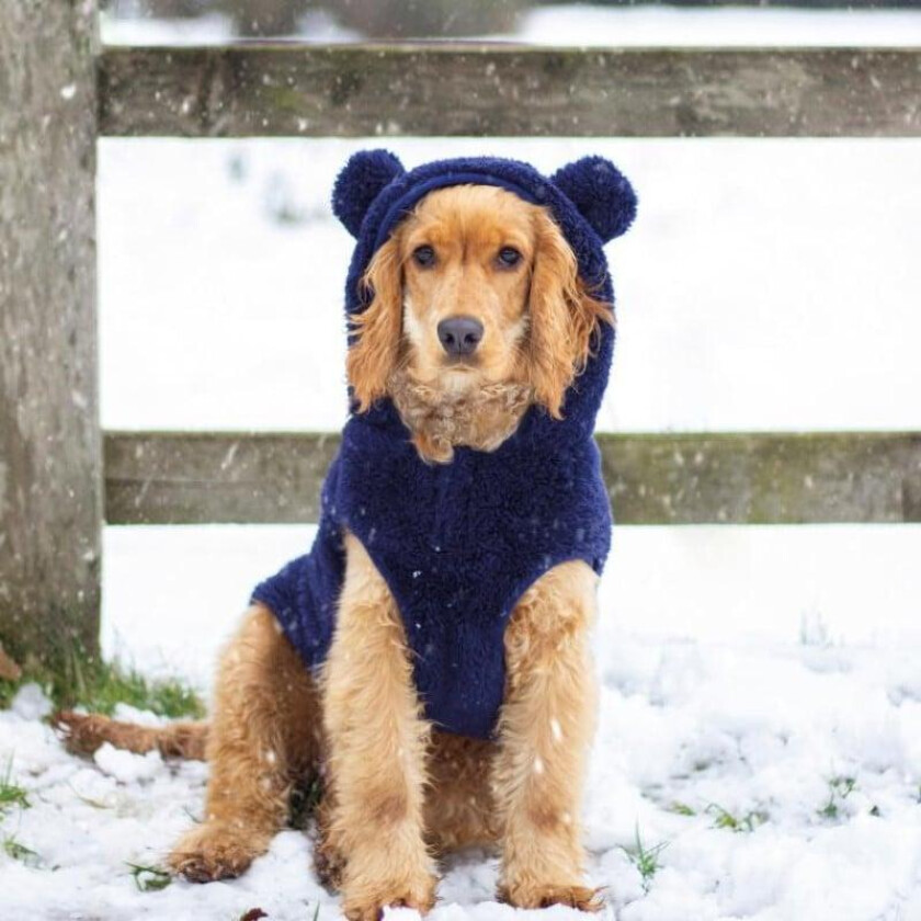 Cupid & Comet Teddy Hundegenser L