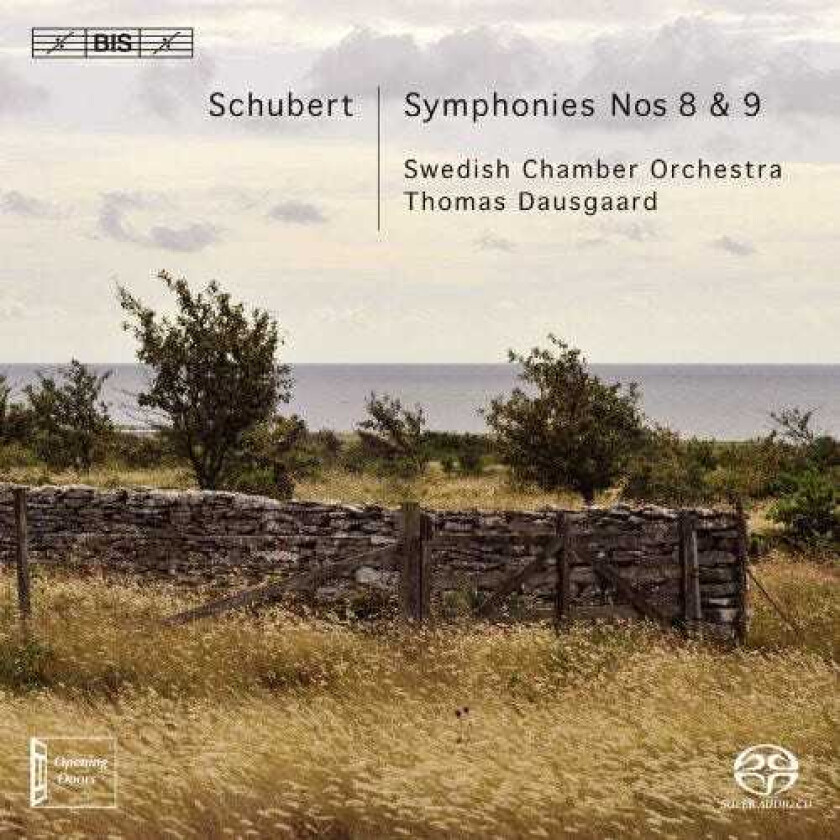 Thomas Dausgaard Symphony Nos 8 & 9 CD