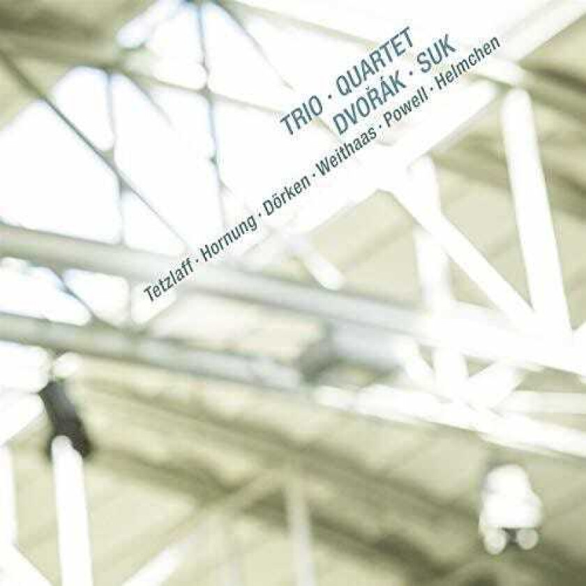 Piano Trio In G Minor 26 CD