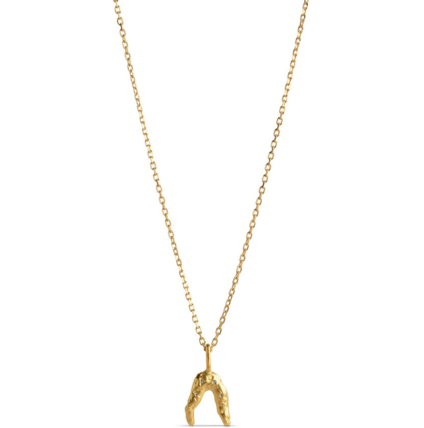 Bilde av Necklace Wishbone,   Halskjeder