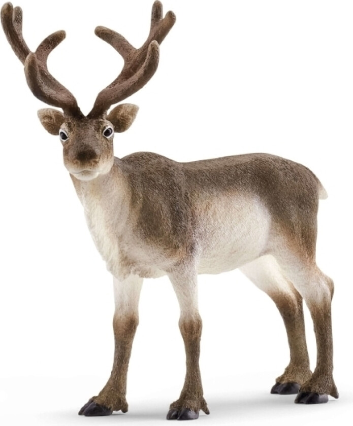 Wild Life 14837 Reinsdyr