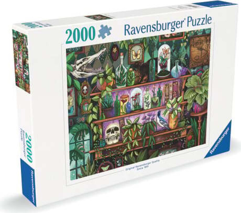 A Witch's Favorite Things 2000p - (12001416)